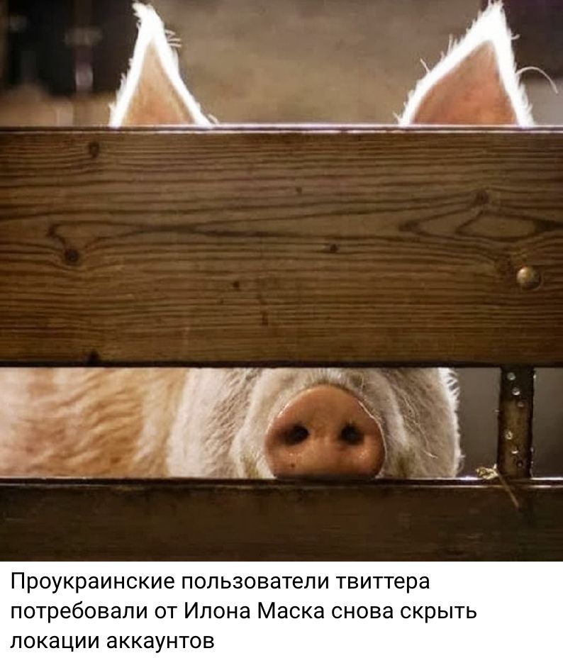 Проукраинские пользователи твиттера потребовали от Илона Маска снова скрыть локации аккаунтов