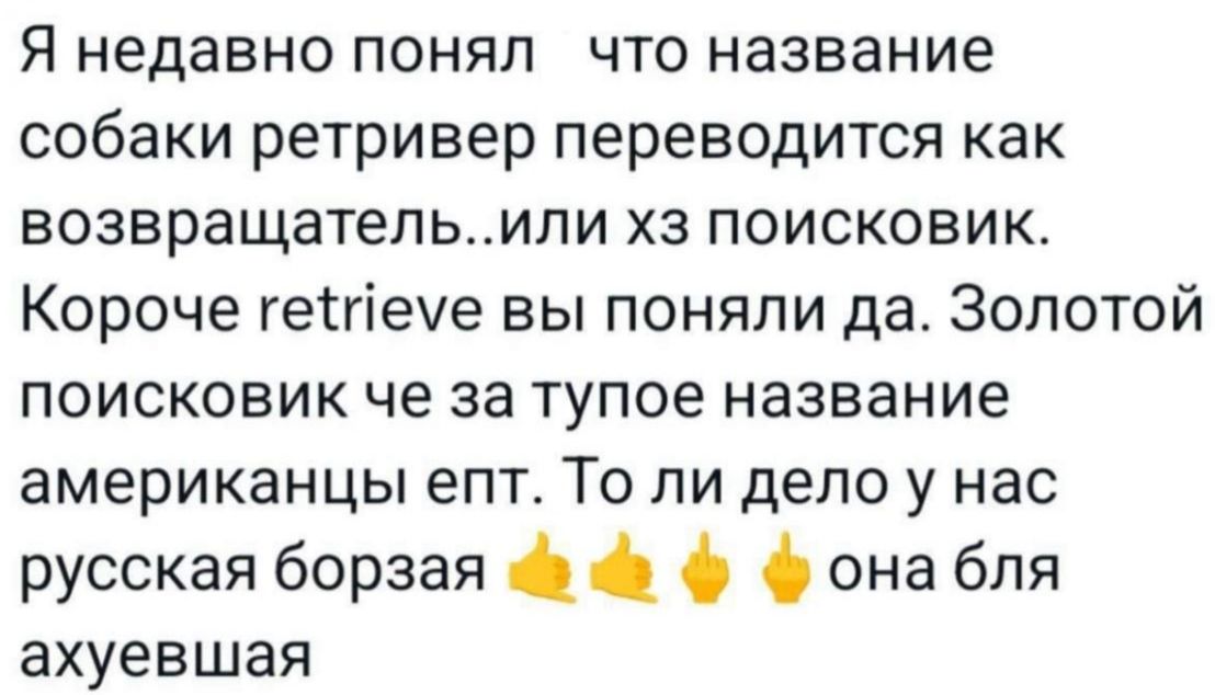 Я недавно понял что название собаки ретривер переводится как возвращатель..или хз поисковик. Короче retriever вы поняли да. Золотой поисковик че за тупое название американцы епт. То ли дело у нас русская борзая 👍👍👍она бля ахуeшa