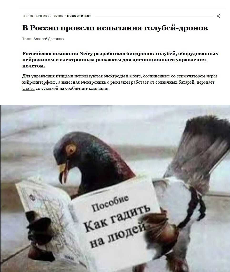 В России провели испытания голубей-дронов. Российская компания Neiry разработала голубей-дронов, оборудованных нейропричипом и электронным носком для дистанционного управления полетом. Пособие Как гадить на людей