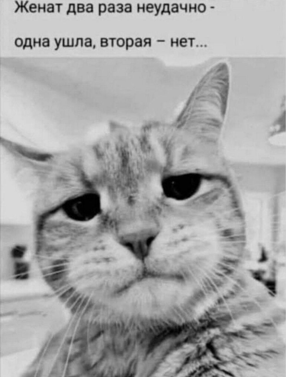 Женат два раза неудачно - одна ушла, вторая – нет...