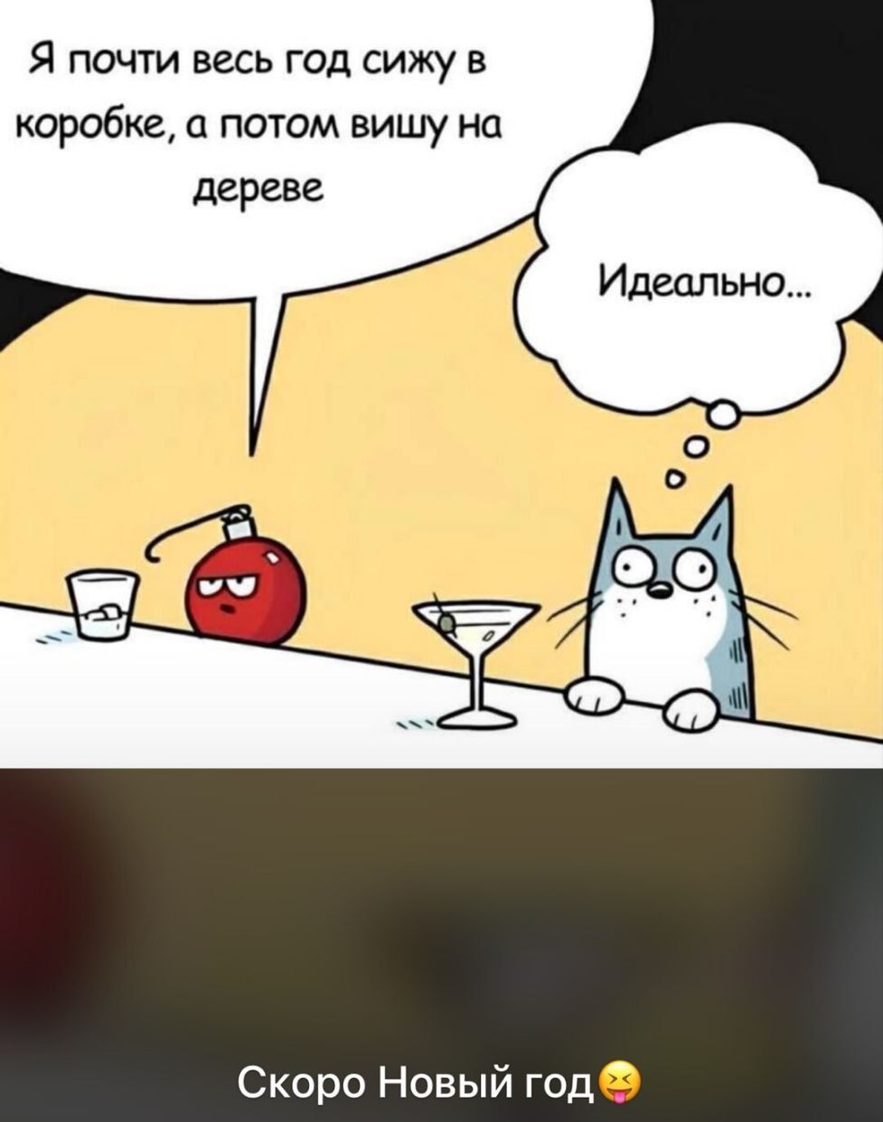 Я почти весь год сижу в коробке, а потом вишу на дереве
Идеально...
Скоро Новый год😣