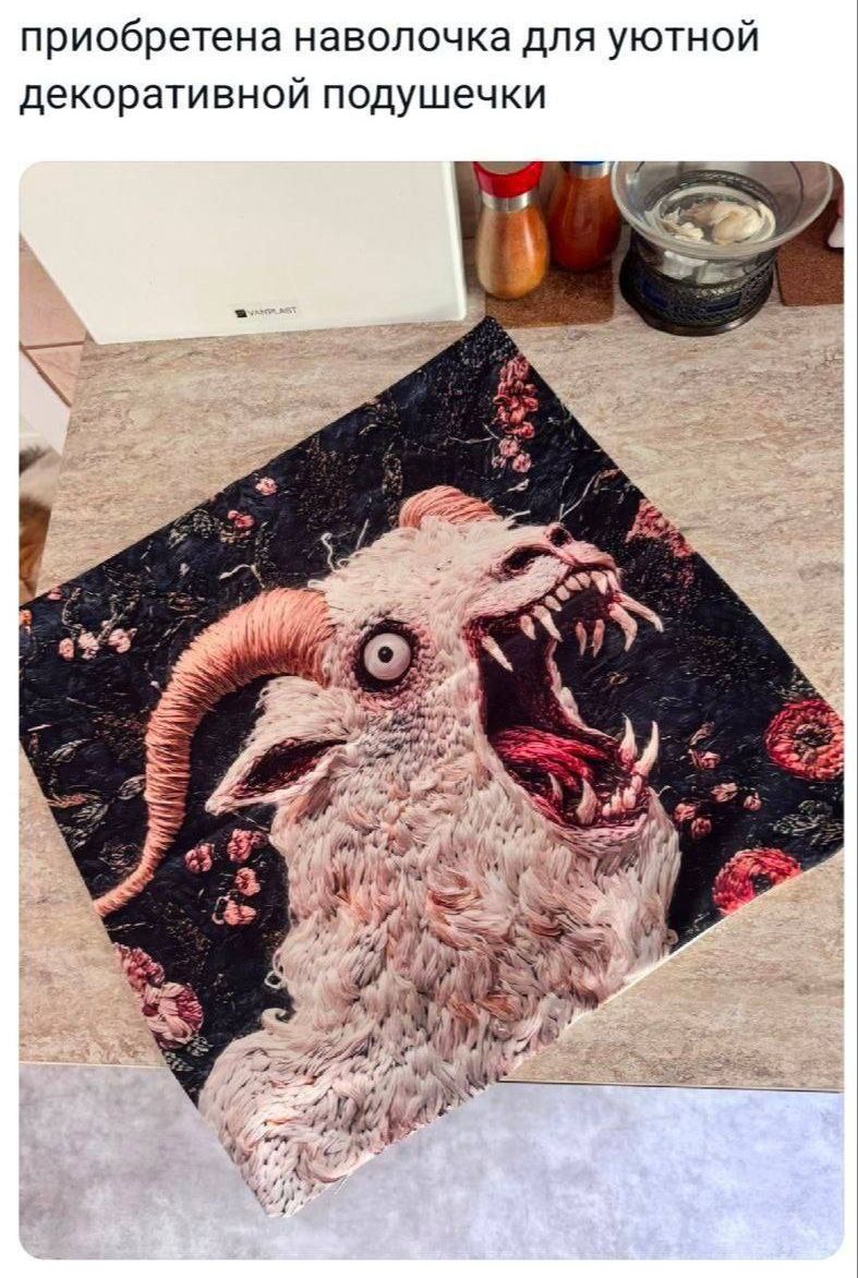 приобретаена наволочка для уютной декоративной подушечки