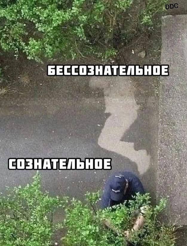 БЕССОЗНАТЕЛЬНОЕ\nСОЗНАТЕЛЬНОЕ