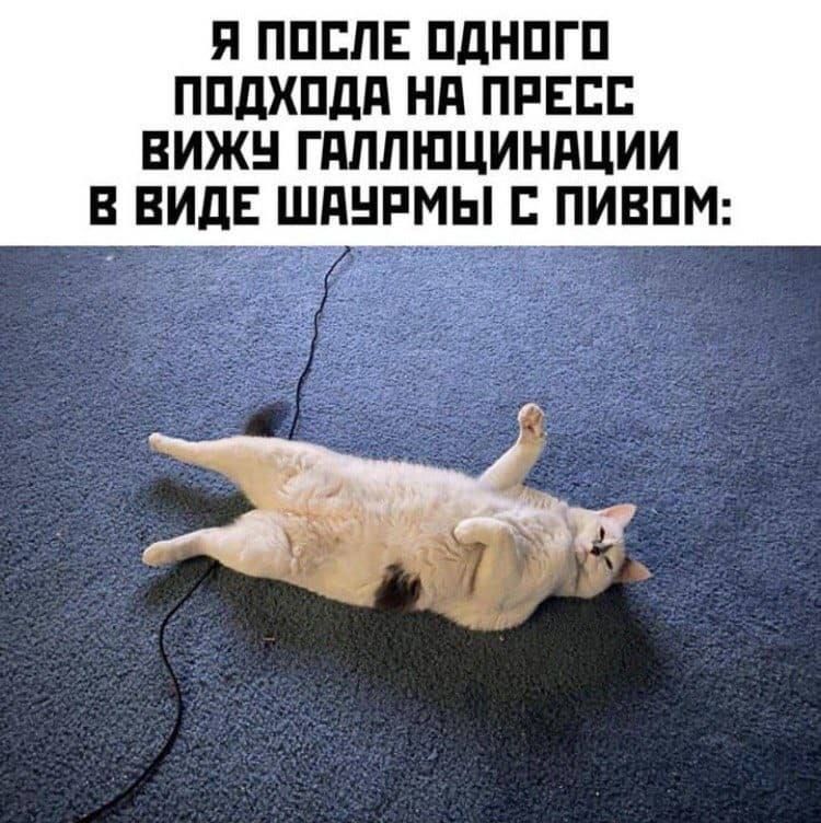 Я после одного подхода на пресс вижу галлюцинации в виде шаурмы с пивом: