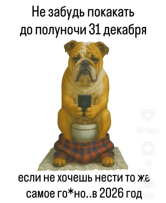Не забудь покакать до полуночи 31 декабря если не хочешь нести то же самое го*но..в 2026 год