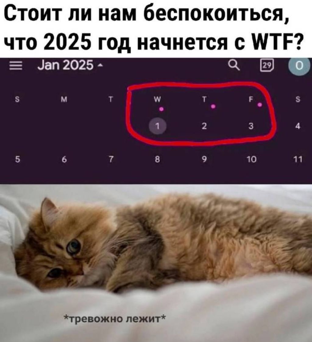 Стоит ли нам беспокоиться, что 2025 год начнется с WTF?
*тревожно лежит*
