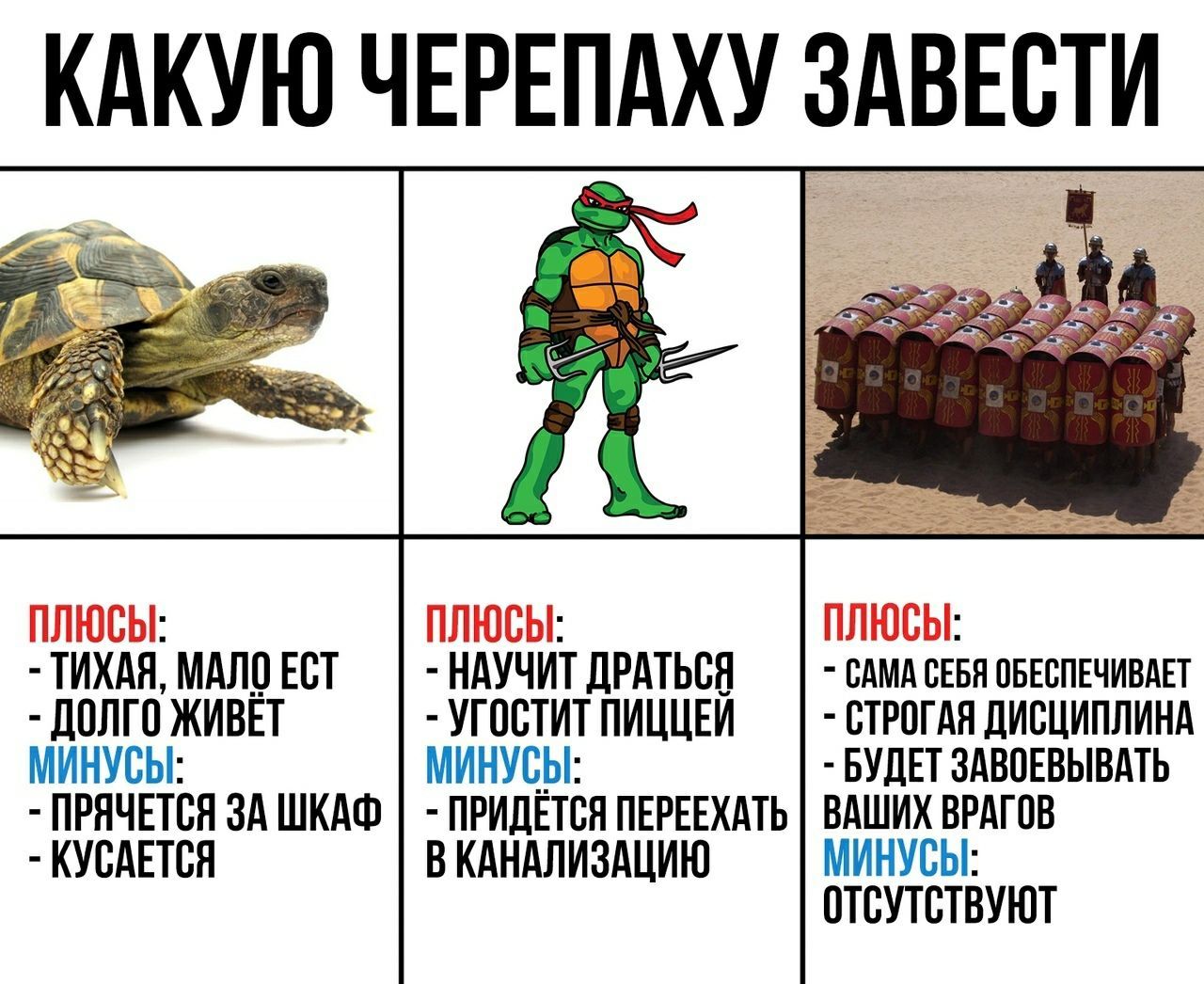 КАКУЮ ЧЕРЕПАХУ ЗАВЕСТИ
ПЛЮСЫ: - ТИХАЯ, МАЛО ЕСТ - ДОЛГО ЖИВЕТ
Минусы: - ПРЯЧЕТСЯ ЗА ШКАФ - КУСАЕТСЯ
ПЛЮСЫ: - НУЖНО УГОСТИТЬ ПИЦЦЕЙ
Минусы: - ПРИДЕТСЯ ПЕРЕЕХАТЬ В КАНАЛИЗАЦИЮ
ПЛЮСЫ: - САМА СЕБЯ ОБЕСПЕЧИВАЕТ - СТРОГАЯ ДИСЦИПЛИНА - БУДЕТ ЗАВОЕВЫВАТЫВАТЬ ВРАГОВ
Минусы: - ОТСУТСТВУЮТ
