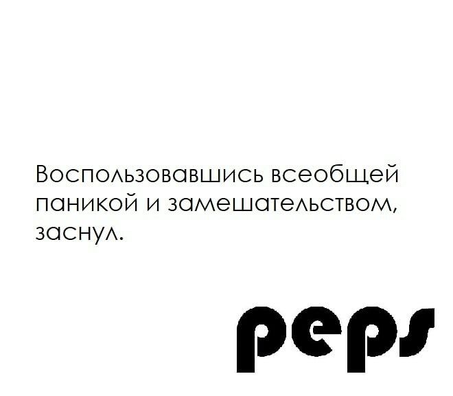 Воспользовавшись всеобщей паникой и замешательством, заснул.