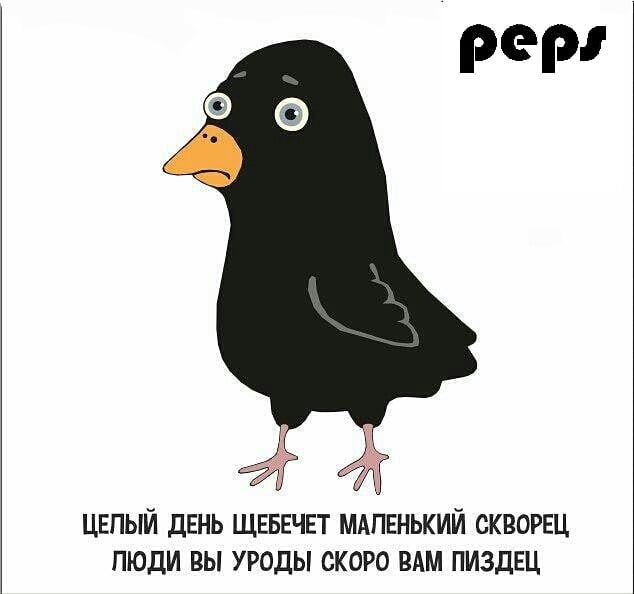 ЦЕЛЫЙ ДЕНЬ ЩЕБЕТЕЧЕТ МАЛЕНЬКИЙ СКВОРЕЦ ЛЮДИ ВЫ УРОДЫ СКОРО ВАМ ПИЗДЕЦ