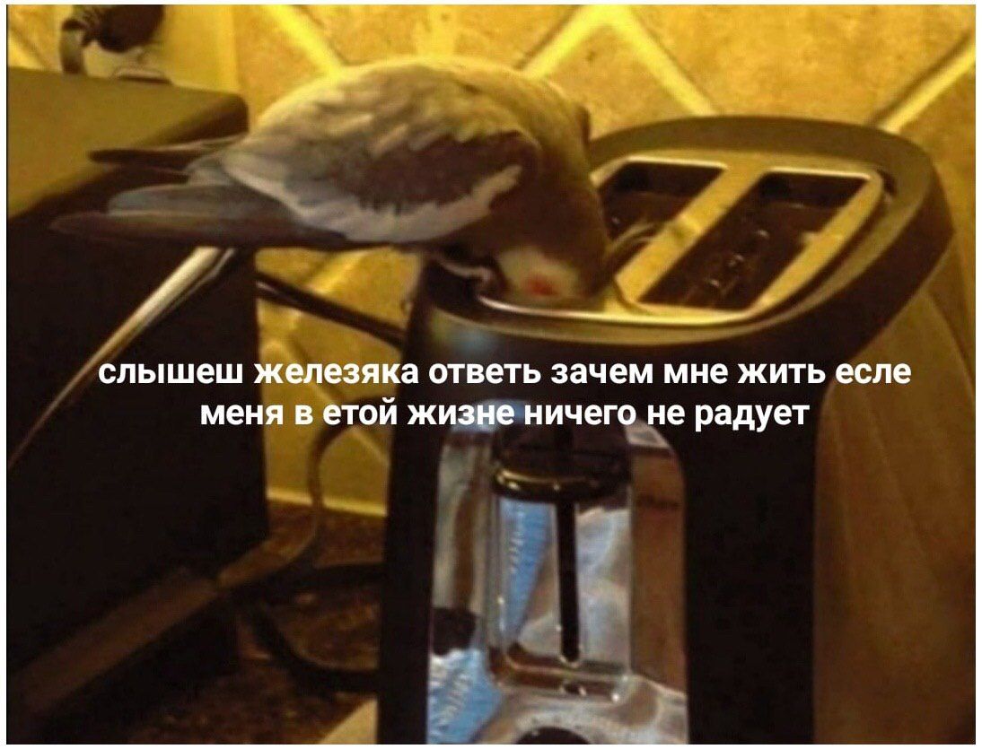 слышишь железяка ответь зачем мне жить если меня в этой жизни ничего не радует