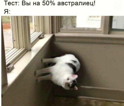 Тест: Вы на 50% австралиец! Я: