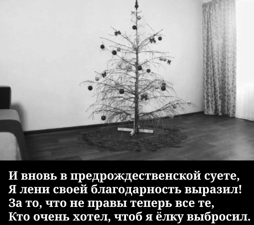 И вновь в предрождественской суете, Я лени своей благодарность выразил! За то, что не правы теперь все те, Кто очень хотел, чтоб я ёлку выбросил.