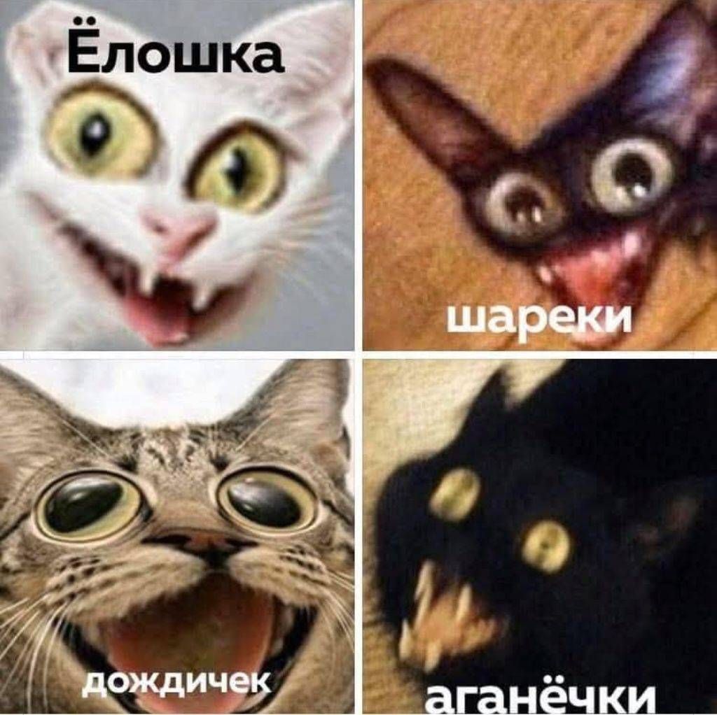 Ёлошка шареки дождичек аганёчки