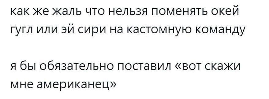 как же жаль что нельзя поменять окей гугл или эй сири на кастомную команду

я бы обязательно поставил «вот скажи мне американец»