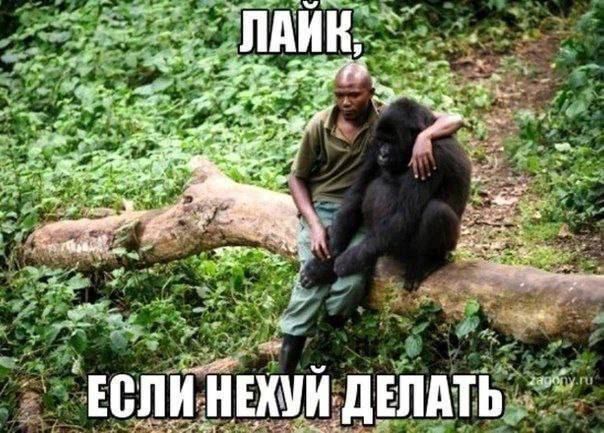 ЛАЙК, если нехуй делать