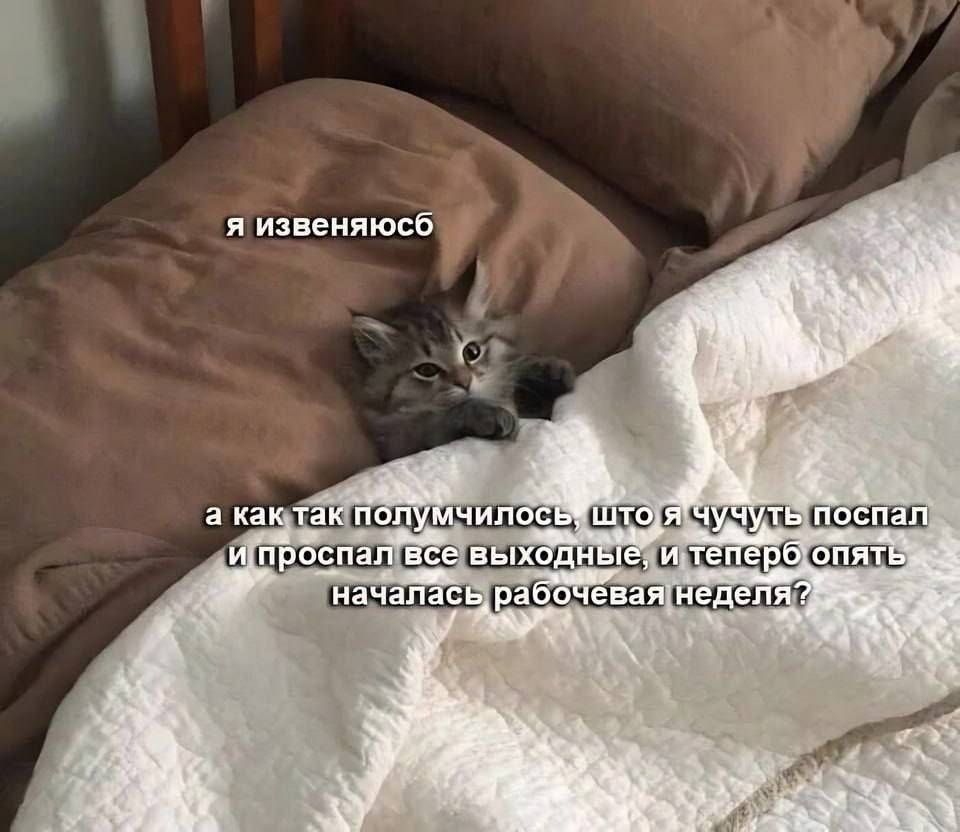 я извиняюсь а как так получилось что я проспал все выходные и теперь опять началась рабочая неделя?