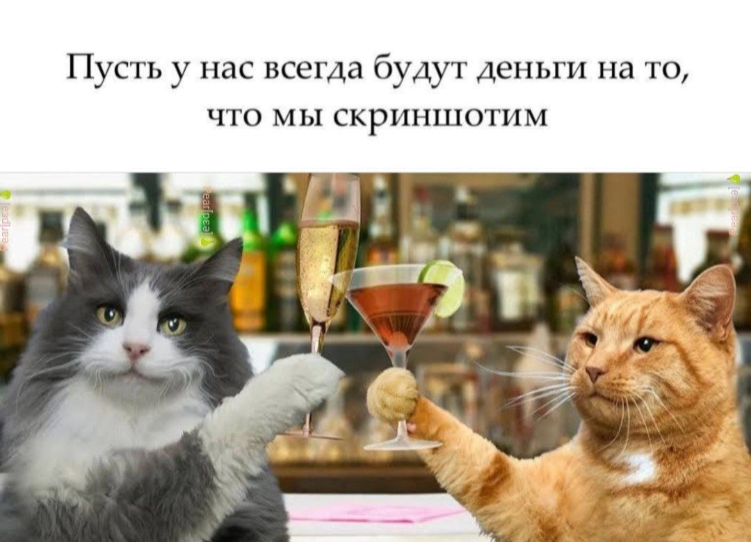 Пусть у нас всегда будут деньги на то, что мы скриншотим