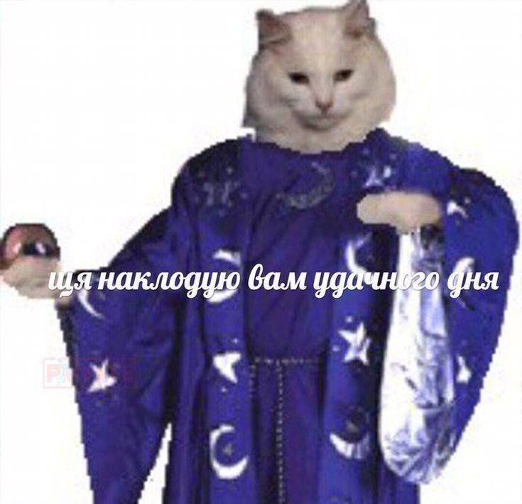 желаю вам удачного дня