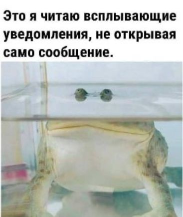 Это я читаю всплывающие уведомления, не открывая само сообщение.