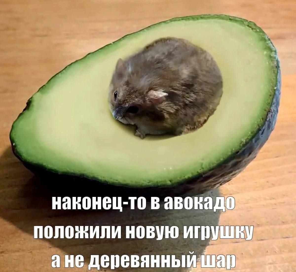наконец-то в авокадо положили новую игрушку а не деревянный шар