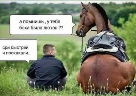 а помнишь, у тебя бзха была лютая ??
сри быстрей и поскакали..