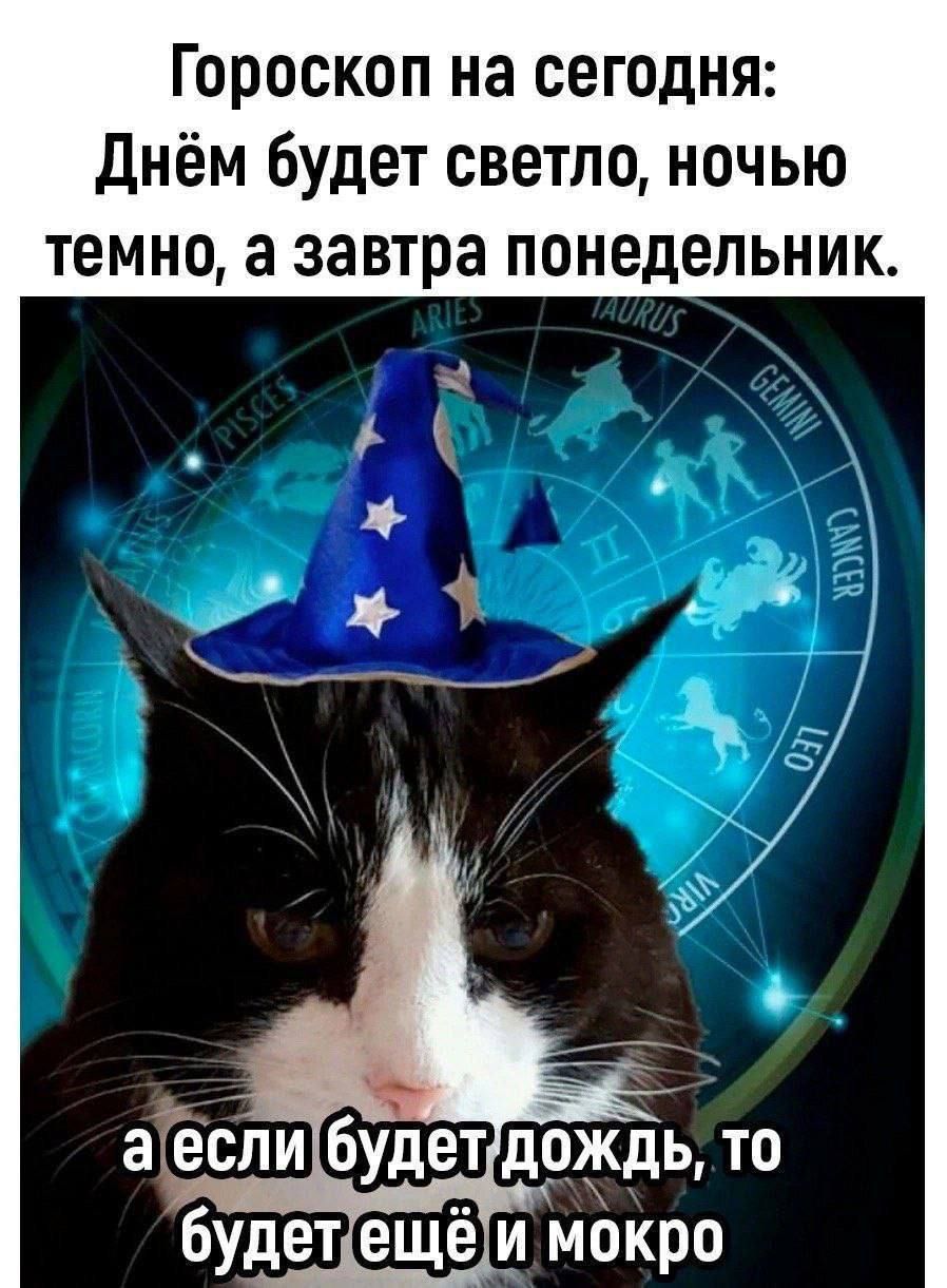 Гороскоп на сегодня: День будет светло, ночью темно, а завтра понедельник. а если будет дождь, то будет ещё и мокро