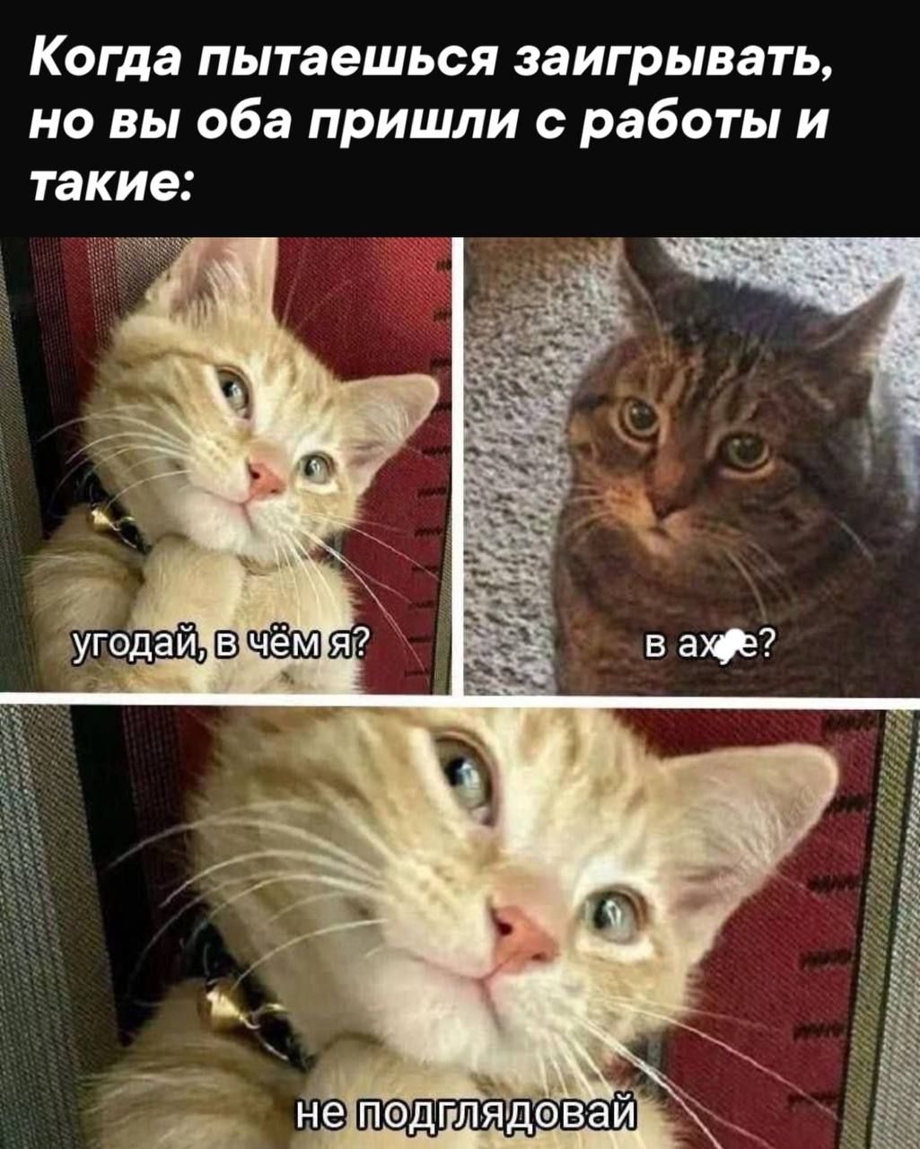 Когда пытаешься заигрывать, но вы оба пришли с работы и такие: Угадай, в чём я? В ах*е? Не подглядывай