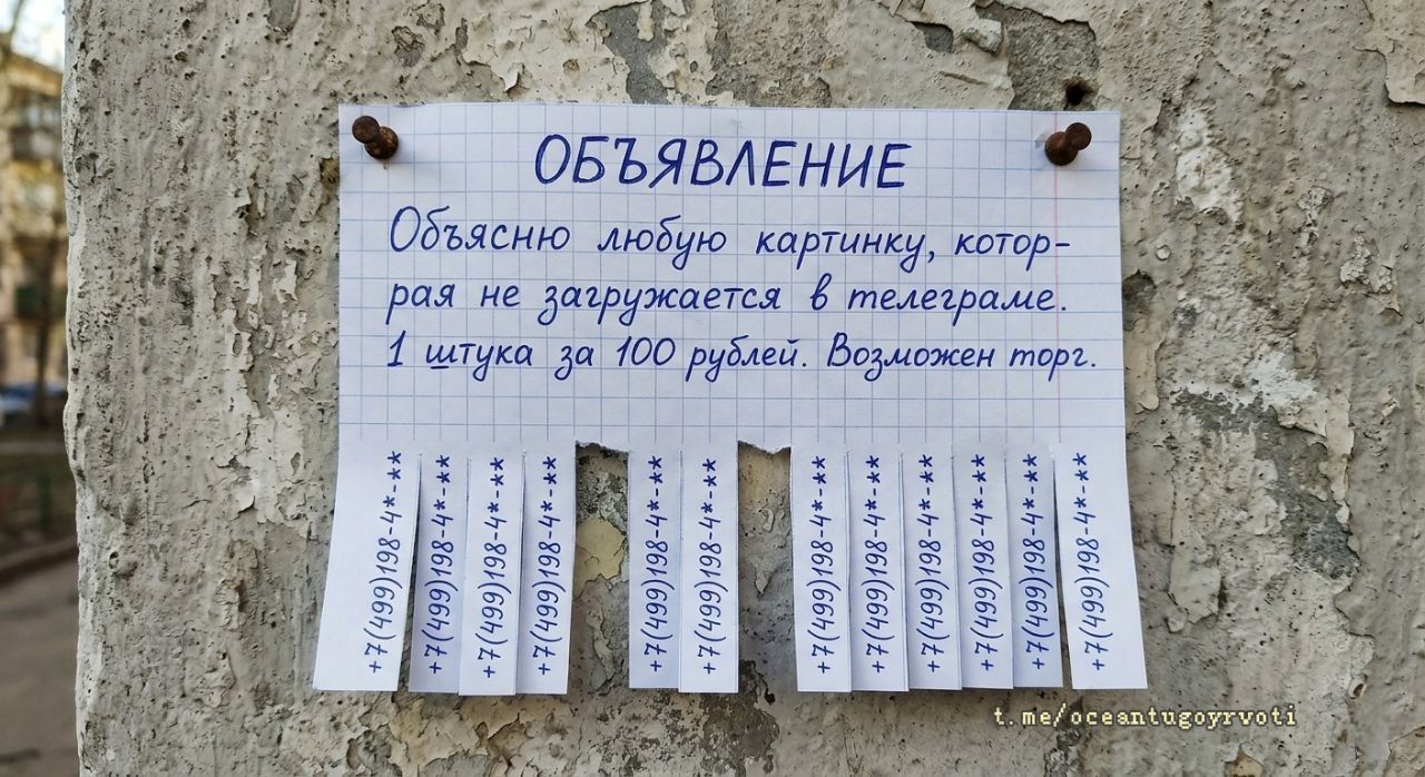 ОБЪЯВЛЕНИЕ Объясню любую картинку, которая не загружается в телеграме. 1 штука за 100 рублей. Возможен торг. +7 (499) 198-4*-** t.me/oceantugoyrvoti