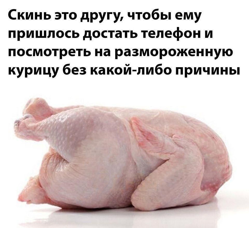 Скинь это другу, чтобы ему пришлось достать телефон и посмотреть на размороженную курицу без какой-либо причины