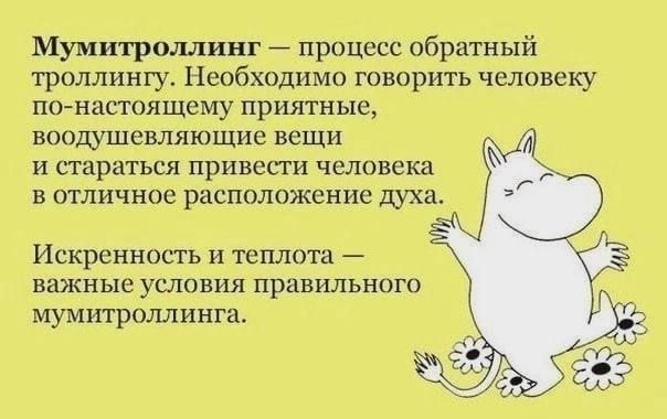 Мумитроллинг — процесс обратный троллингу. Необходимо говорить человеку по-настоящему приятные, воодушевляющие вещи и стараться привести человека в отличное расположение духа. Искренность и теплота — важные условия правильного мумитроллинга.