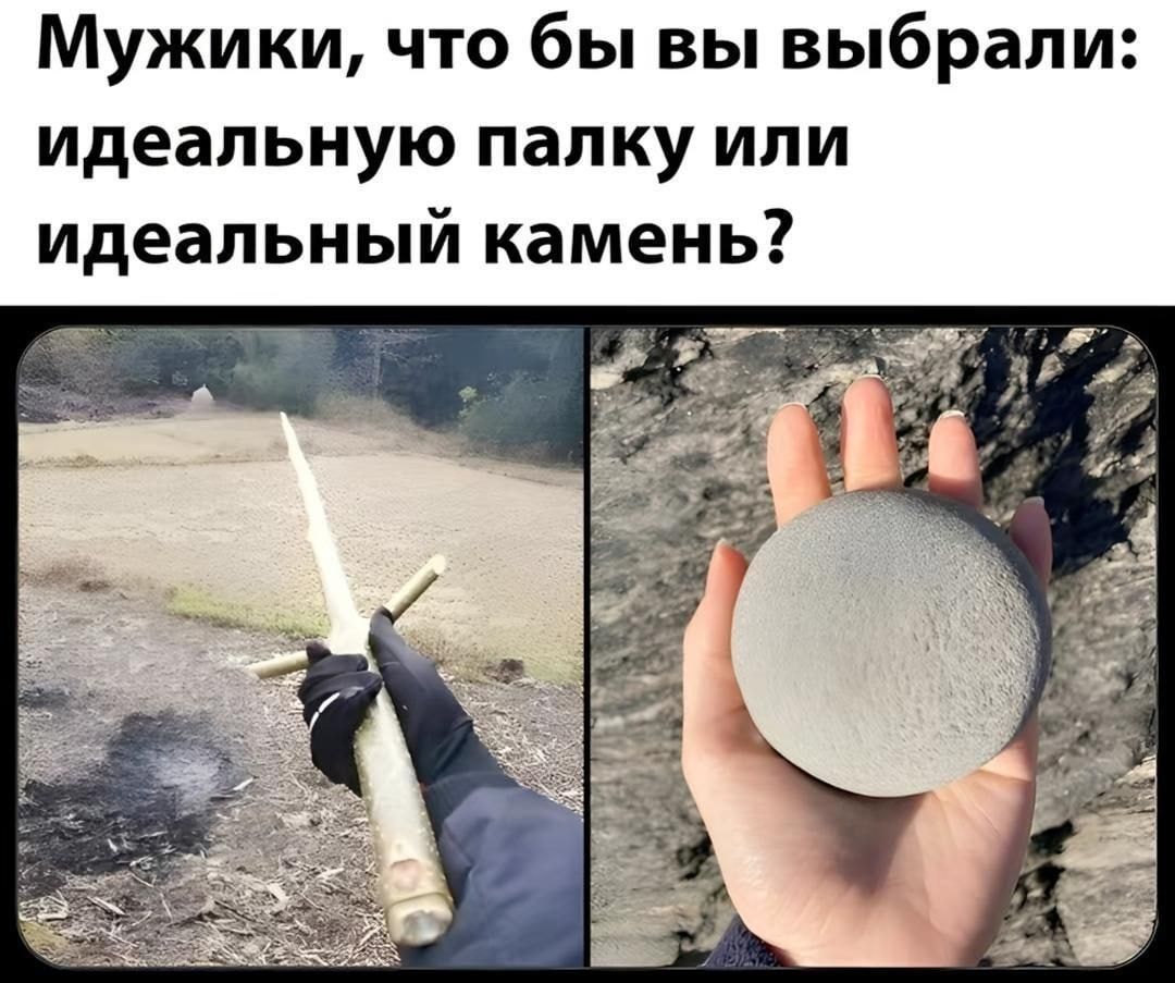 Мужики, что бы вы выбрали: идеальную палку или идеальный камень?
