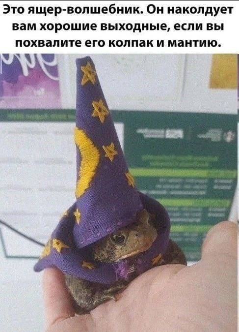 Это ящер-волшебник. Он наколдует вам хорошие выходные, если вы похвалите его колпак и мантию.