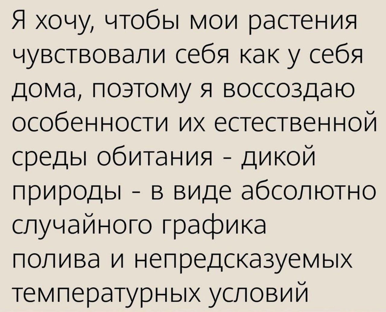 Я хочу, чтобы мои растения чувствовали себя как у себя дома, поэтому я воссоздаю особенности их естественной среды обитания - дикой природы - в виде абсолютно случайного графика полива и непредсказуемых температурных условий