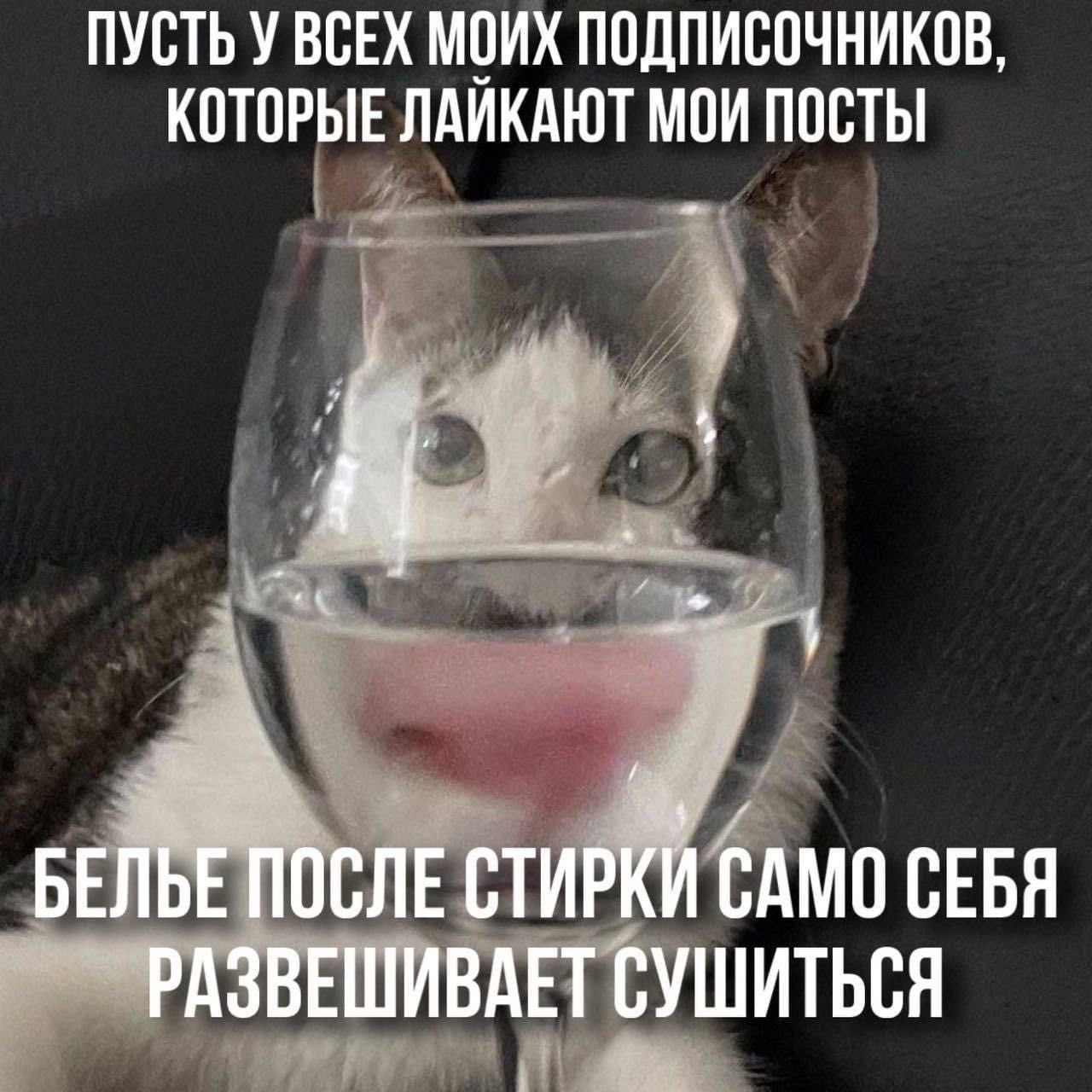 ПУСТЬ У ВСЕХ МОИХ ПОДПИСЧИКОВ, КОТОРЫЕ ЛАЙКАЮТ МОИ ПОСТЫ БЕЛЬЕ ПОСЛЕ СТИРКИ САМО СЕБЯ РАЗВЕШИВАЕТ СУШИТЬСЯ