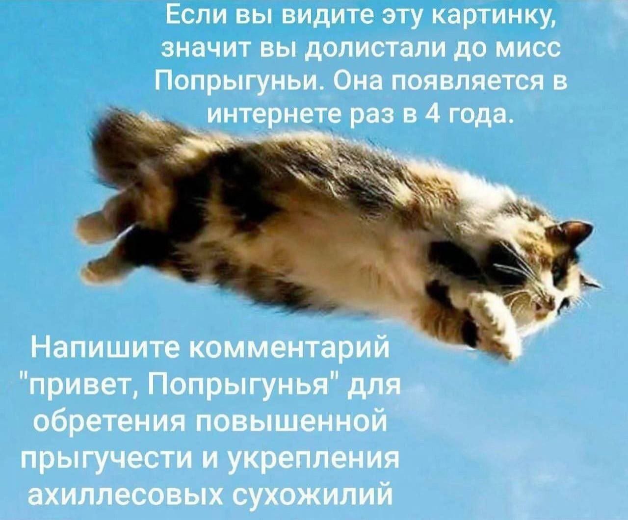 Если вы видите эту картинку, значит вы долистали до мисс Попрыгуньи. Она появляется в интернете раз в 4 года. Напишите комментарий 