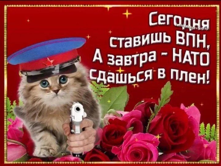 Сегодня ставишь ВПН, А завтра - НАТО сдашься в плен!