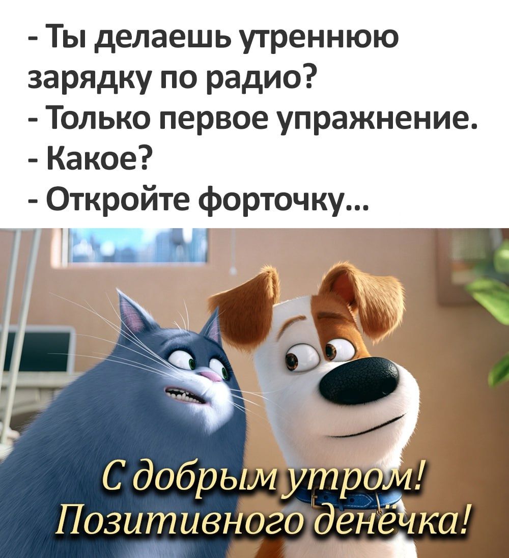 Ты делаешь утреннюю зарядку по радио Только первое упражнение Какое Откройте форточку С добры у Позитивногодене