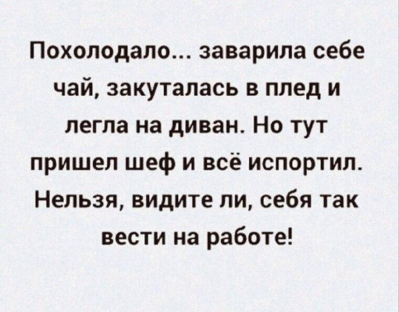 Похолодало заварила себе чай закуталась в плед и легла на диван Но тут пришел шеф и всё испортил Нельзя видите ли себя так вести на работе