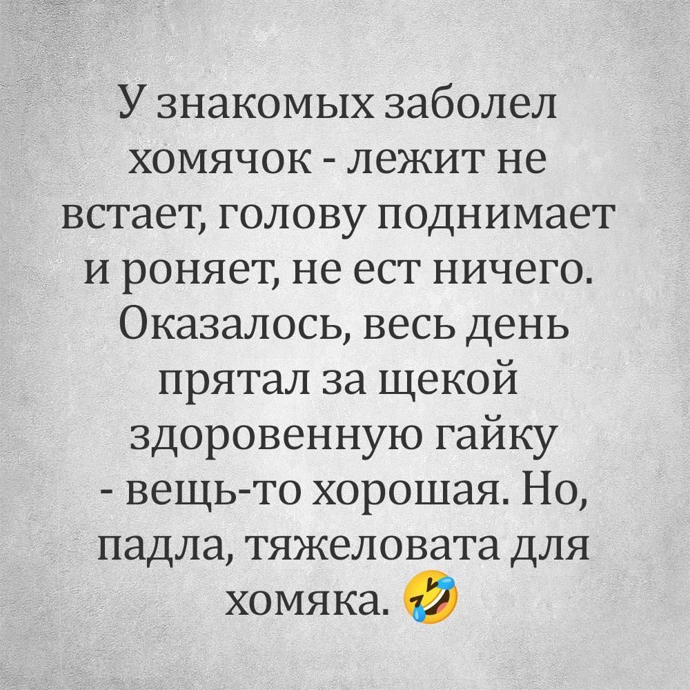 У знакомых заболел хомячок лежит не встает голову поднимает и роняет не ест ничего Оказалось весь день прятал за щекой здоровенную гайку вещь то хорошая Но падла тяжеловата для хомяка