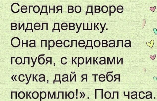 Сегодня во дворе К видел девушку Она преследовала голубя с криками У сука дай я тебя ь покормлю Пол часа