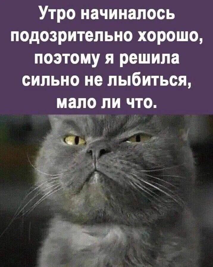 Утро начиналось подозрительно хорошо поэтому я решила сильно не лыбиться мало ли что