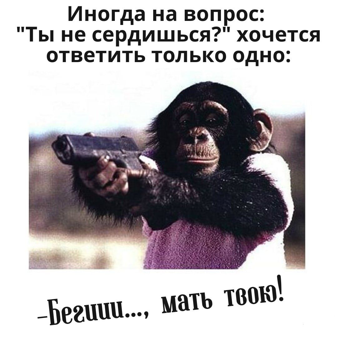 Иногда на вопрос Ты не сердишься хочется ответить только одно