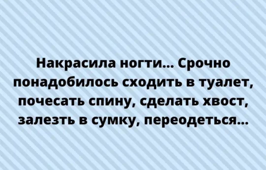 Накрасила ногти Срочно понадобилось сходить в туалет почесать спину сделать хвост залезть в сумку переодеться