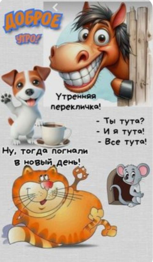 ДОБРОЕ УТРО! Утреняя перекличка! - Ты тутa? - И я тутa! - Все тутa! Ну, тогда погнали в новый день!