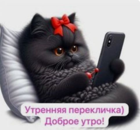 Утреняя переключка) Доброе утро!