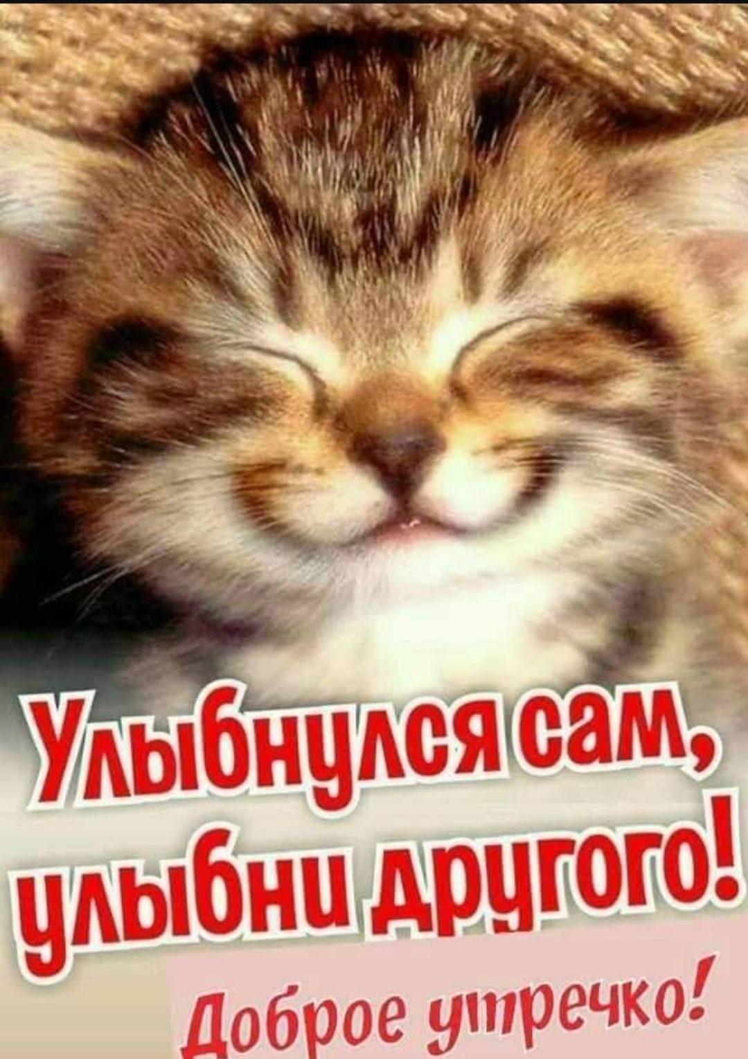 Улыбнулся сам, улыбни другого!
Доброе утречко!