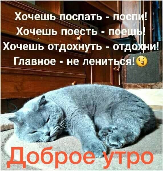 Хочешь поспать - спи! Хочешь поесть - поешь! Хочешь отдохнуть - отдохни! Главное - не лениться! Доброе утро