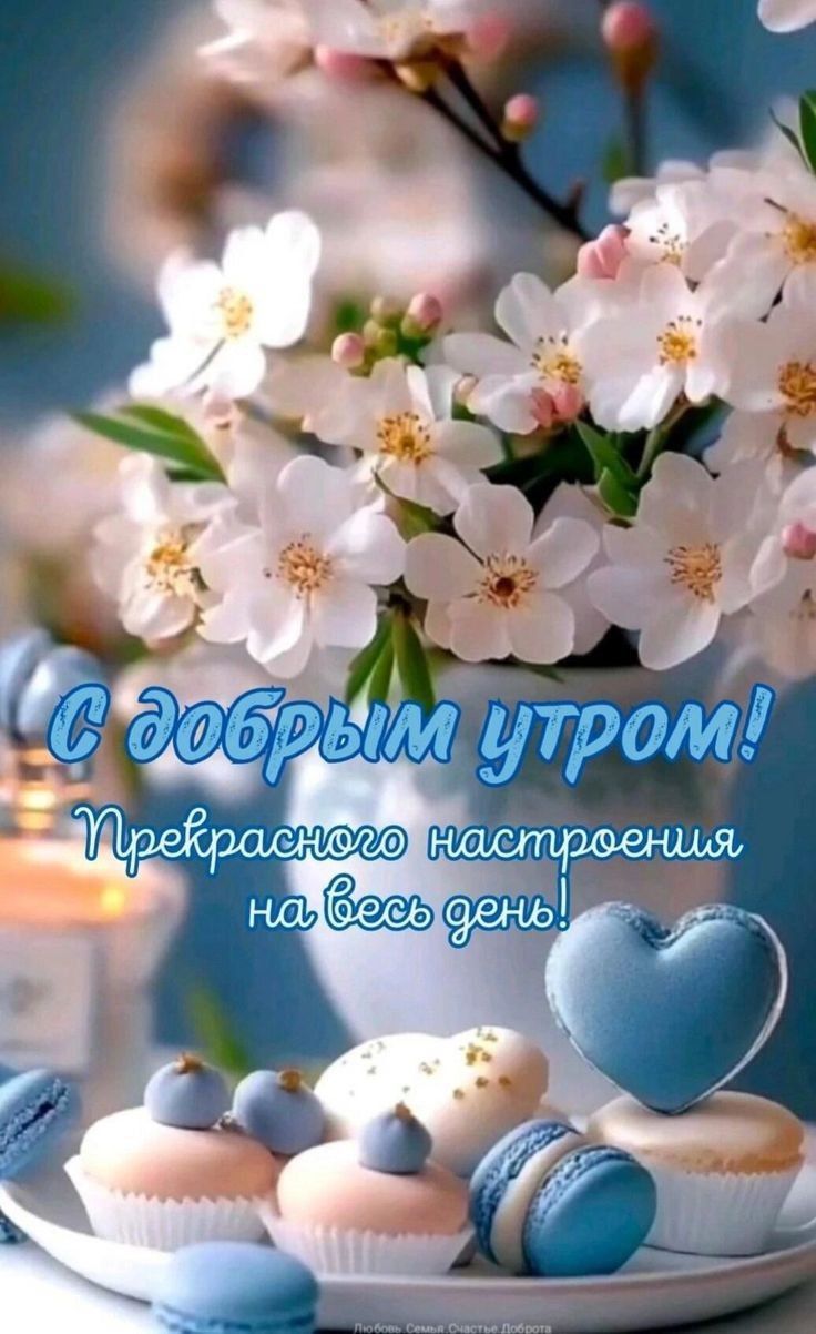 С добрым утром! Прекрасного настроения на весь день!