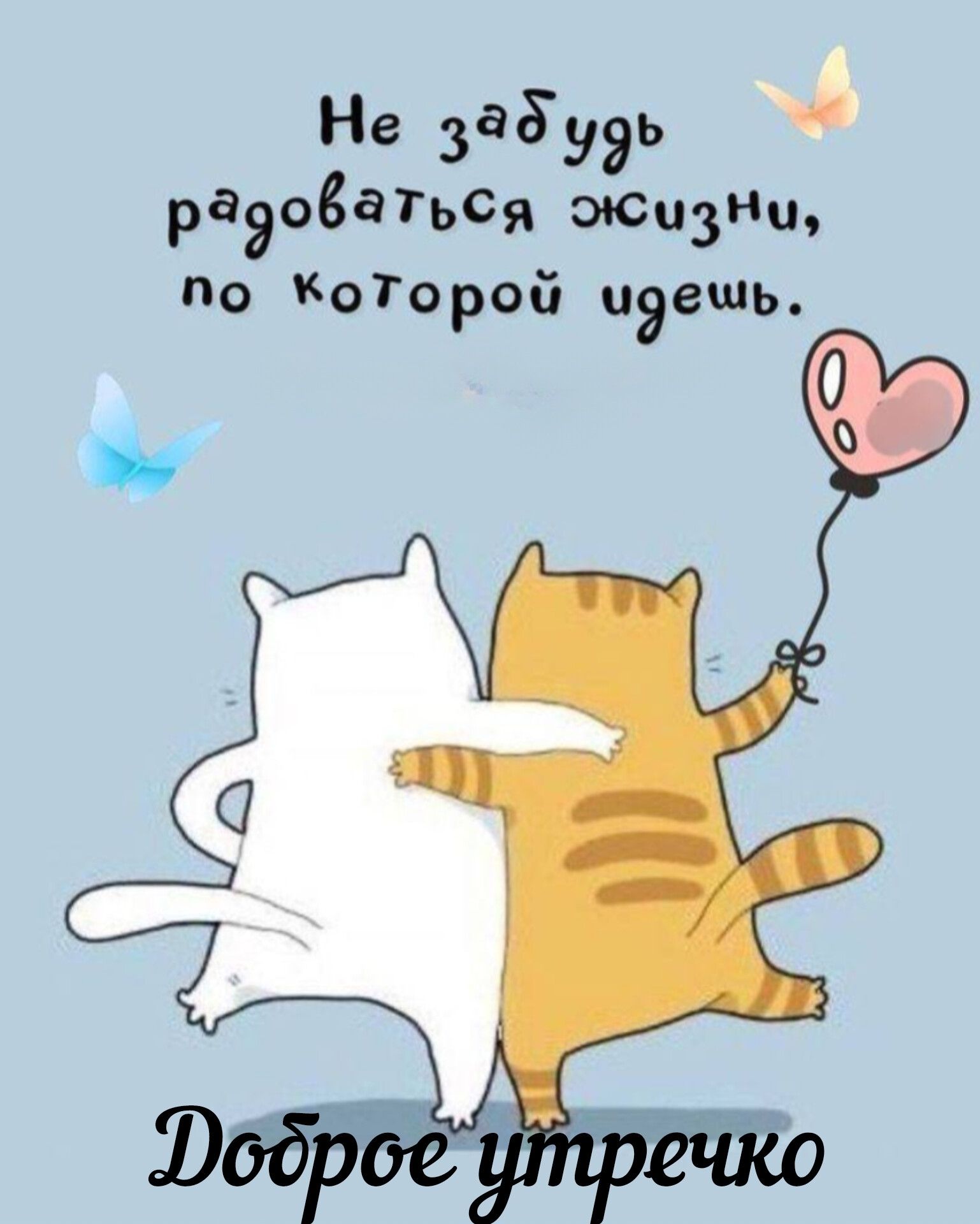 Не забыдь радоваться жизни, по которой идёш. Доброе утречко