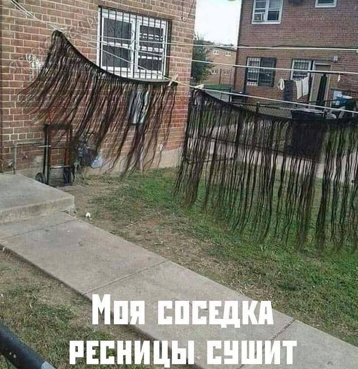 Моя соседка ресницы сушит